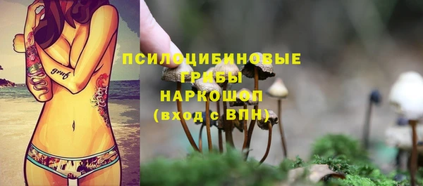 стафф Дмитров