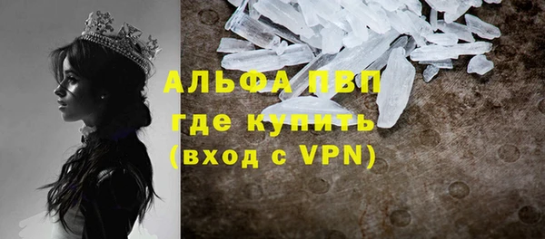 стафф Дмитров