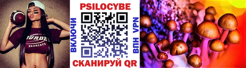 Купить закладки  Кемь  Галлюциногенные грибы Psilocybe 