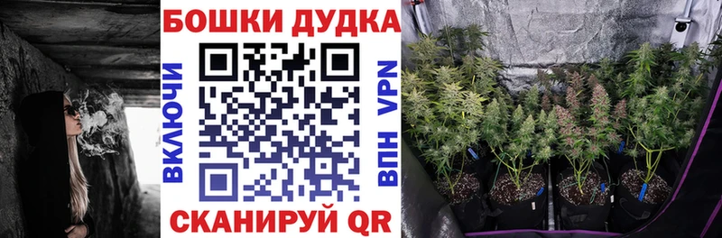 Конопля SATIVA & INDICA  Купить где  Кемь 